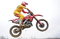 _ROB5295 (Copy)